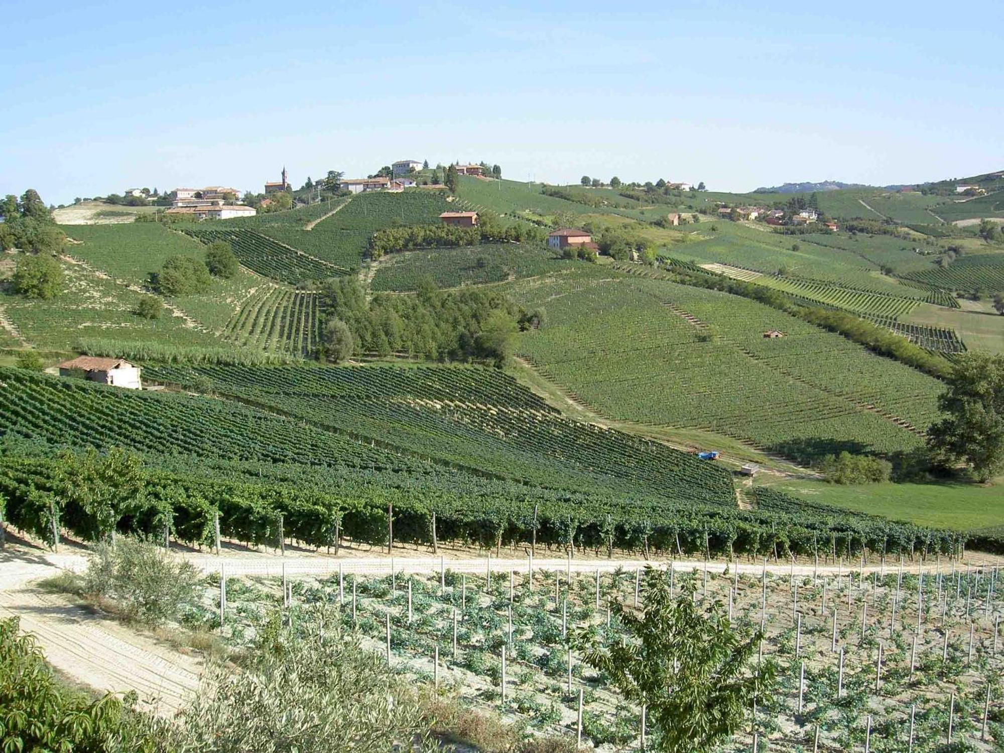 הוילה קאנלי Agriturismo Vecchio Torchio מראה חיצוני תמונה