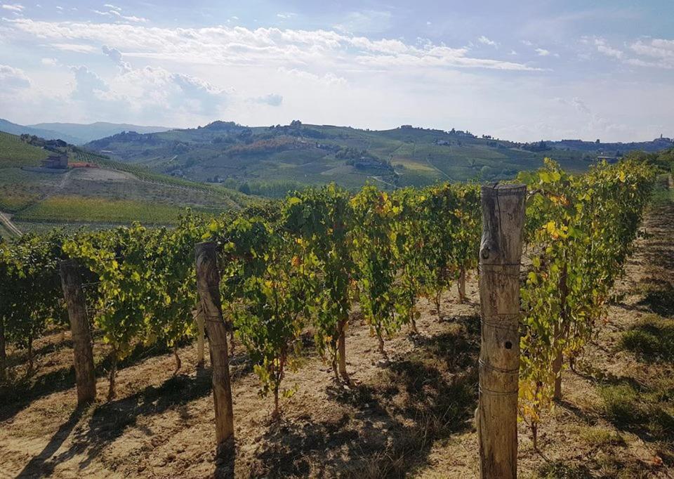 קאנלי Agriturismo Vecchio Torchio מראה חיצוני תמונה